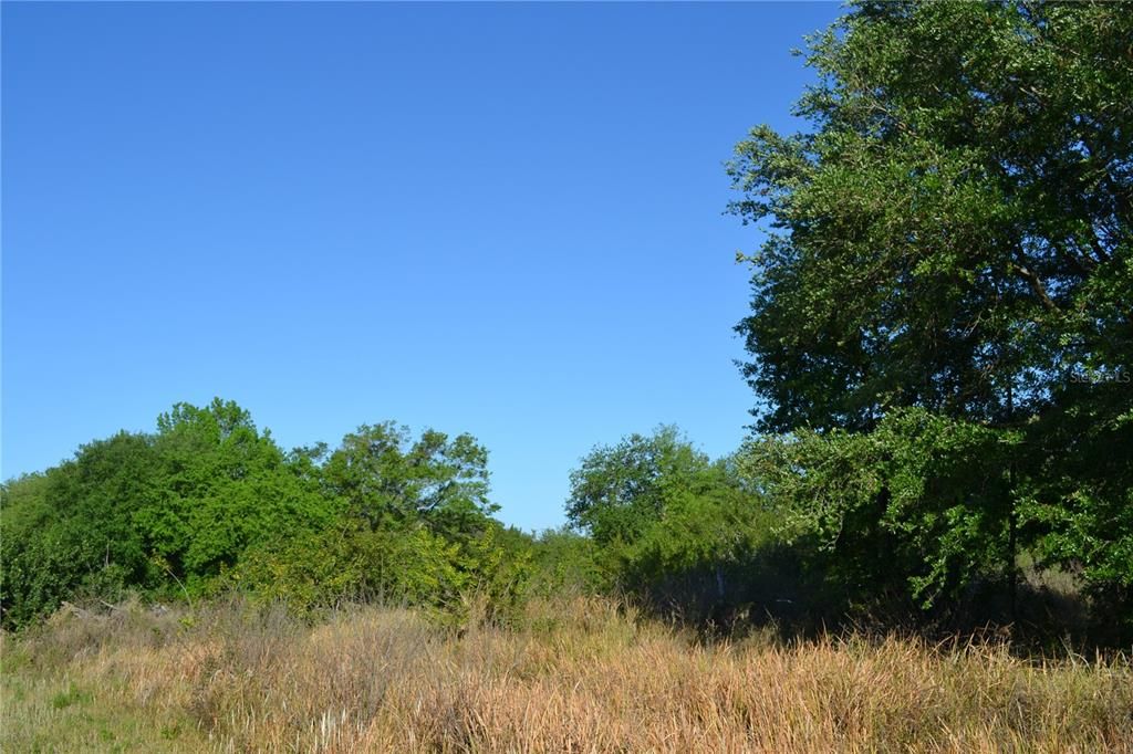 Recently Sold: $940,000 (77.00 acres)