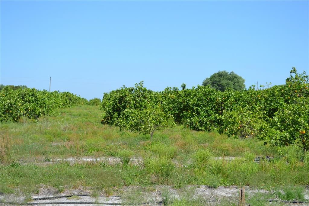 Recently Sold: $1,500,000 (84.79 acres)