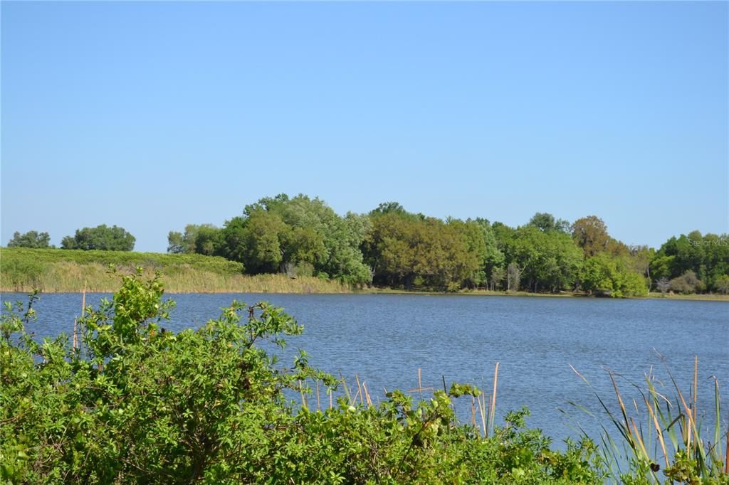 Recently Sold: $1,500,000 (84.79 acres)
