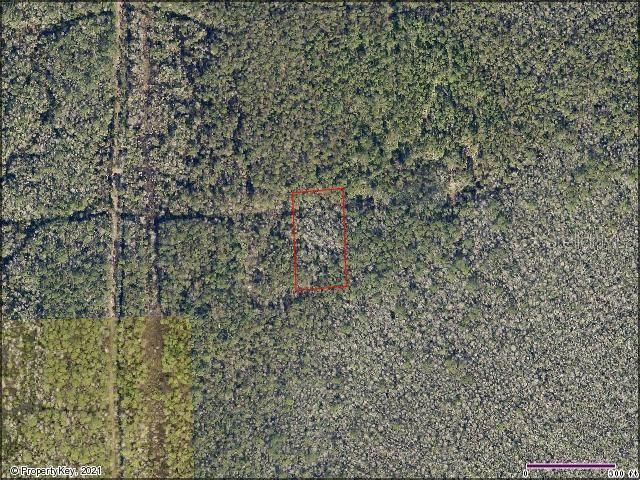 Recently Sold: $5,995 (1.25 acres)