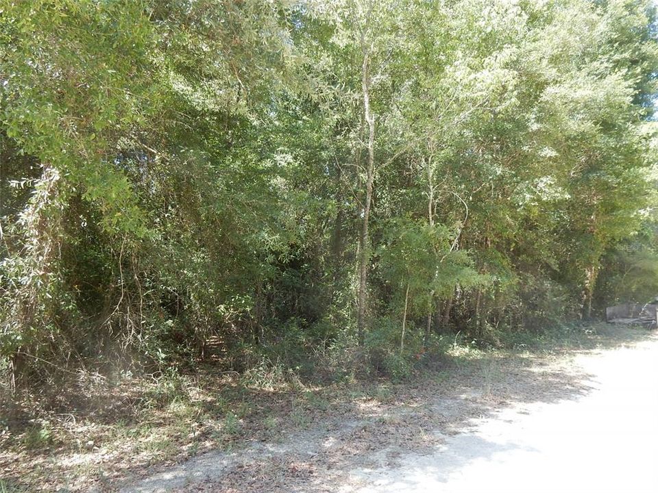 Recently Sold: $5,500 (0.23 acres)