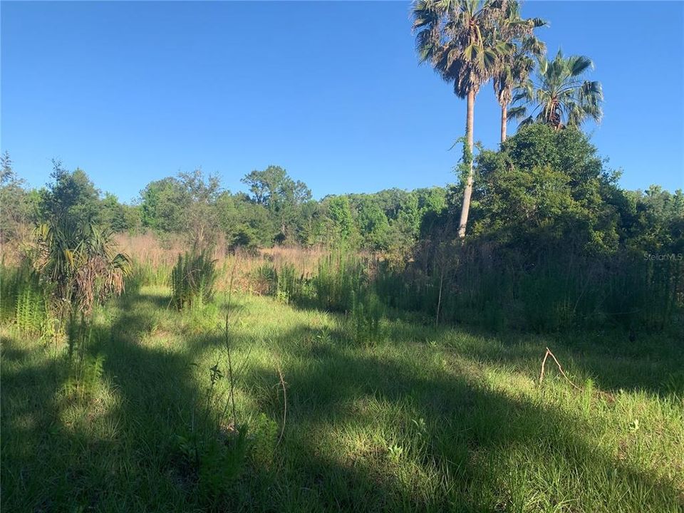 Vendido Recientemente: $220,000 (2.50 acres)