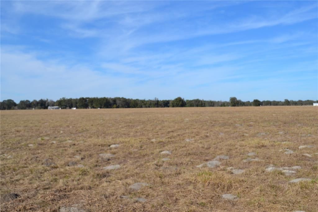 Recently Sold: $1,550,000 (196.00 acres)