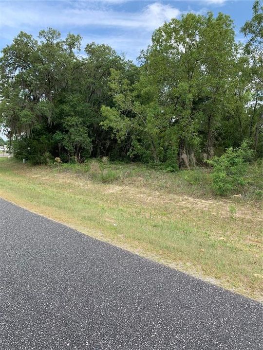 Recently Sold: $70,000 (0.32 acres)