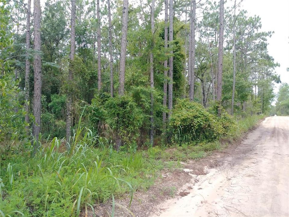Recently Sold: $35,000 (5.16 acres)