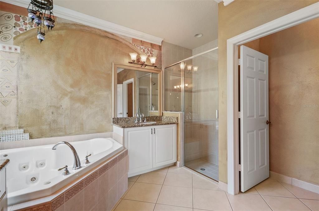 MASTER BATH WITH DOUBLE SINKS & JACUZZI IN TUB