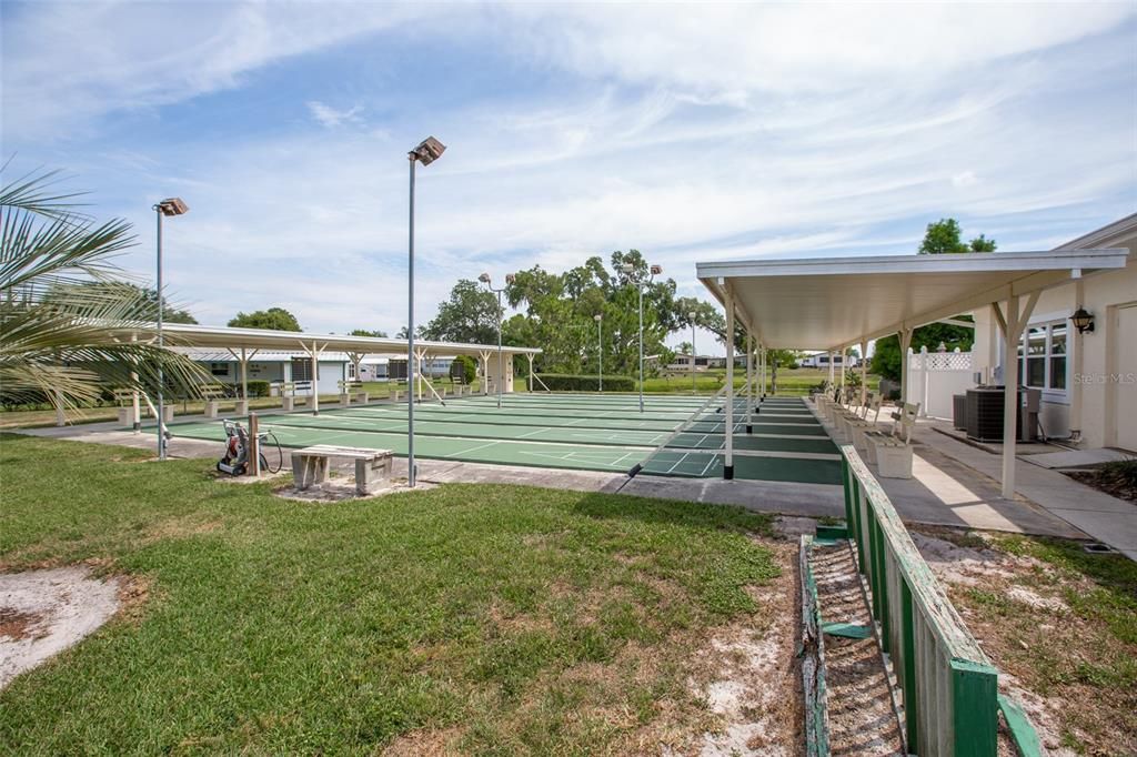 Shuffleboard courts with shaded areas on both sides.