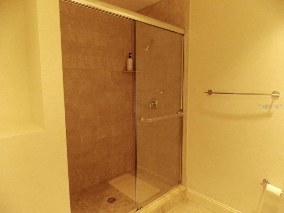 Shower Bathroom 2