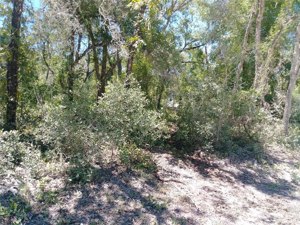 Vendido Recientemente: $19,900 (1.29 acres)