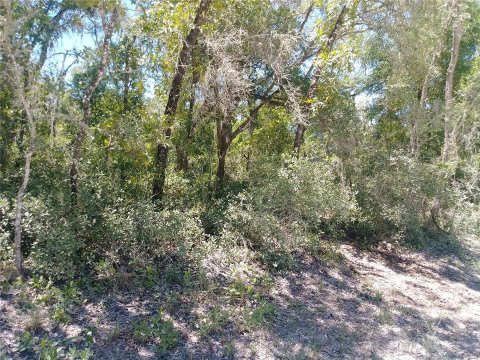 Recently Sold: $19,900 (1.29 acres)