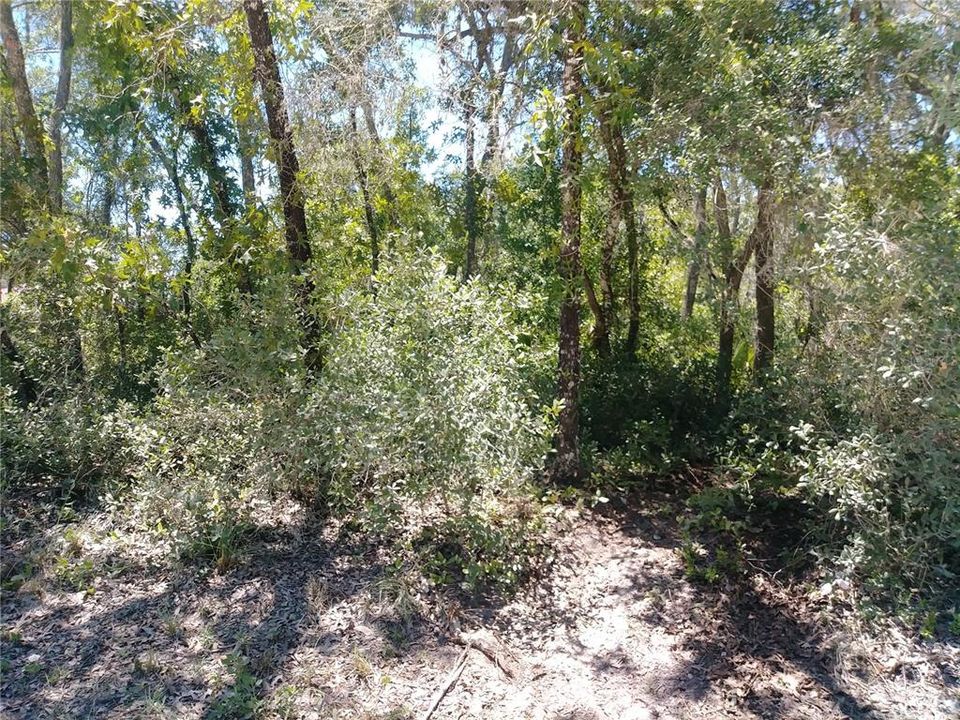 Recently Sold: $19,900 (1.29 acres)