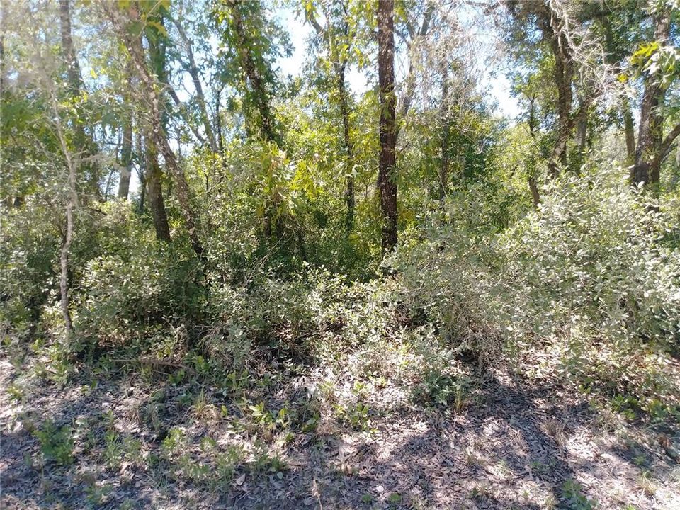 Recently Sold: $19,900 (1.29 acres)