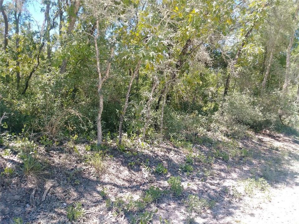Recently Sold: $19,900 (1.29 acres)