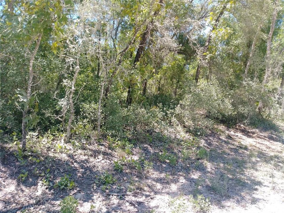 Recently Sold: $19,900 (1.29 acres)