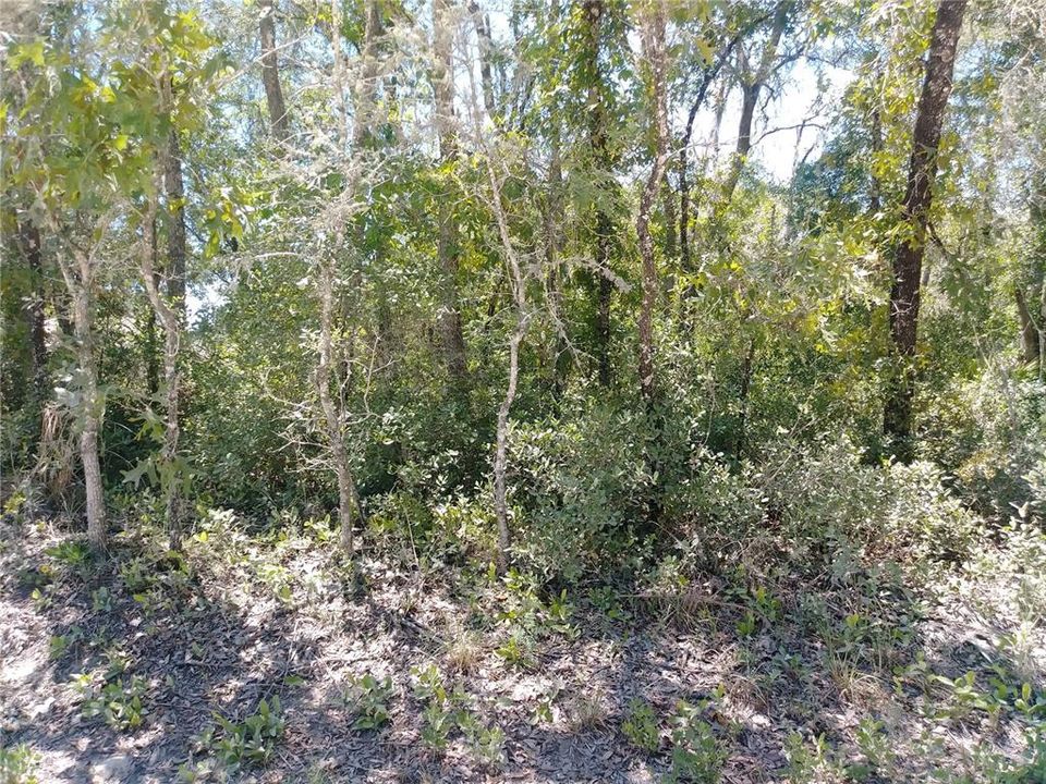 Recently Sold: $19,900 (1.29 acres)