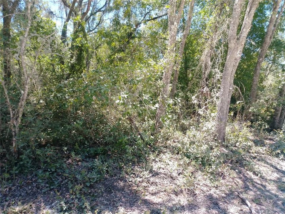 Recently Sold: $19,900 (1.29 acres)