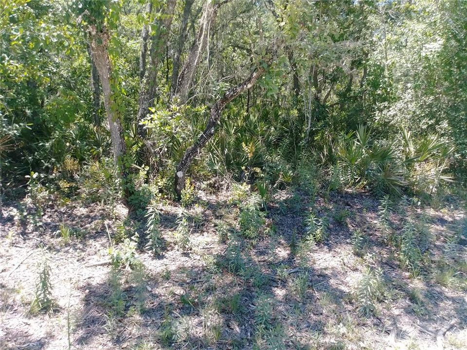 Recently Sold: $19,900 (1.37 acres)