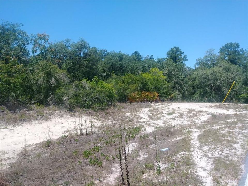 Recently Sold: $19,900 (1.37 acres)