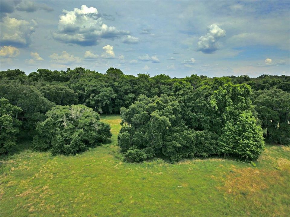 Recently Sold: $200,000 (10.03 acres)