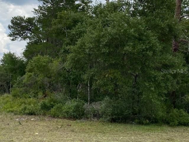 Recently Sold: $24,900 (0.26 acres)