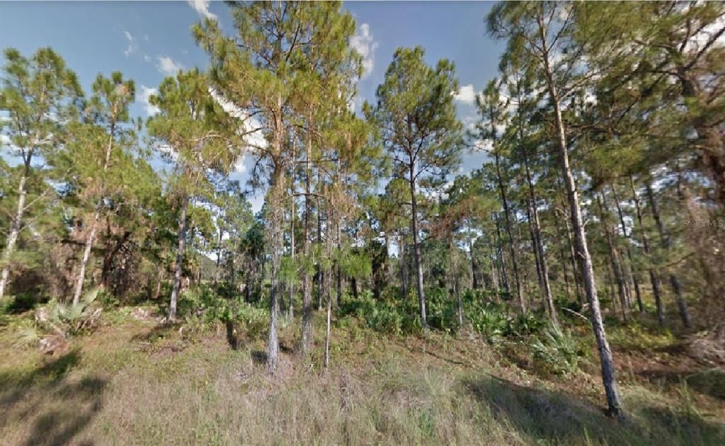 Vendido Recientemente: $24,000 (1.00 acres)