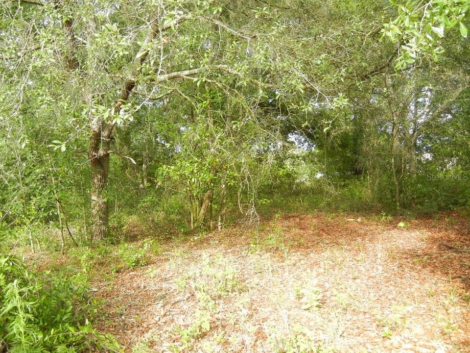 Recently Sold: $35,000 (0.40 acres)