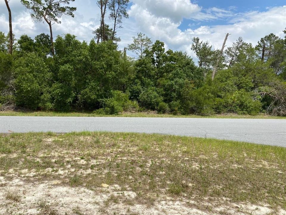 Recently Sold: $25,900 (0.39 acres)