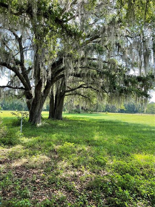 Недавно продано: $125,000 (9.70 acres)