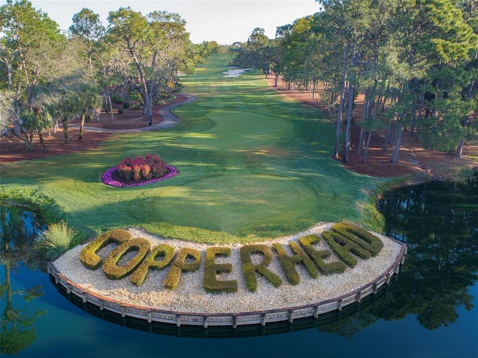 Community has a private gate to Innisbrook Golf Resort which hosts the Valspar PGA Tournament on the Copperhead Golf Course.  Golf membership requires a separate fee.