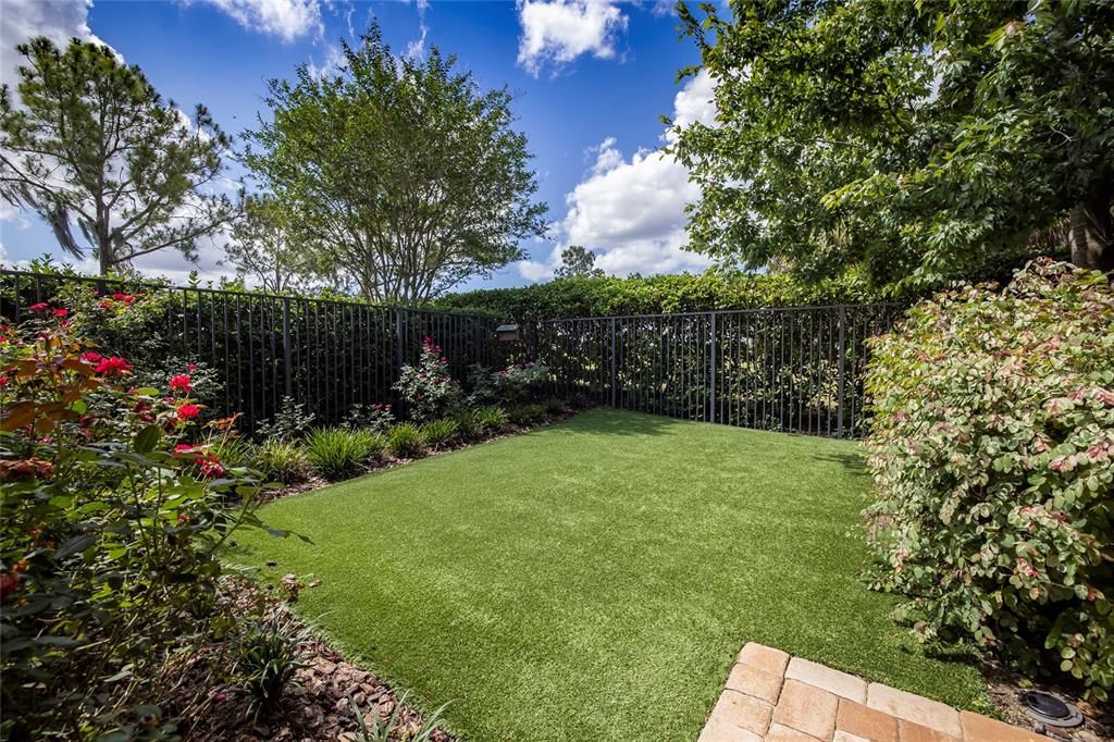 Fenced artificial pet turf 15'x20' dog run surrounded by roses.  Your fur pet's own rose garden. Accessed from lanai gate by outdoor fireplace.