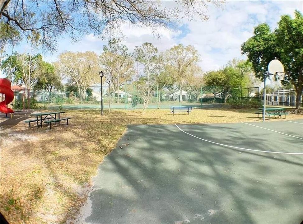 Tennis court and Basketball Court