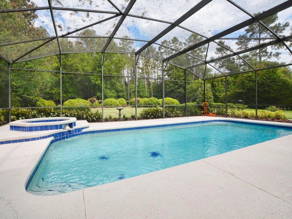 Sparkling 16 x 32 Saltwater pool with spa.
