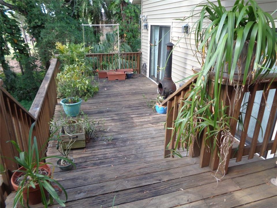 Wood deck rear of house
