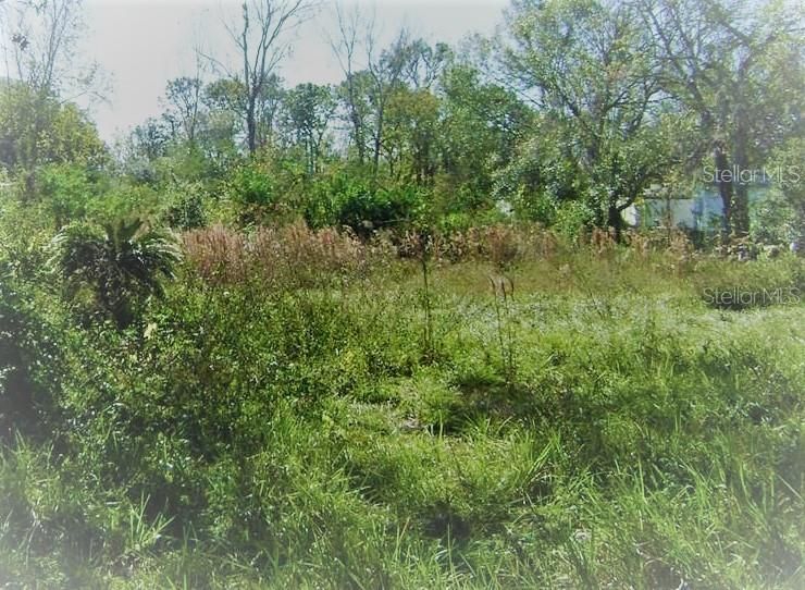 Recently Sold: $110,000 (1.47 acres)