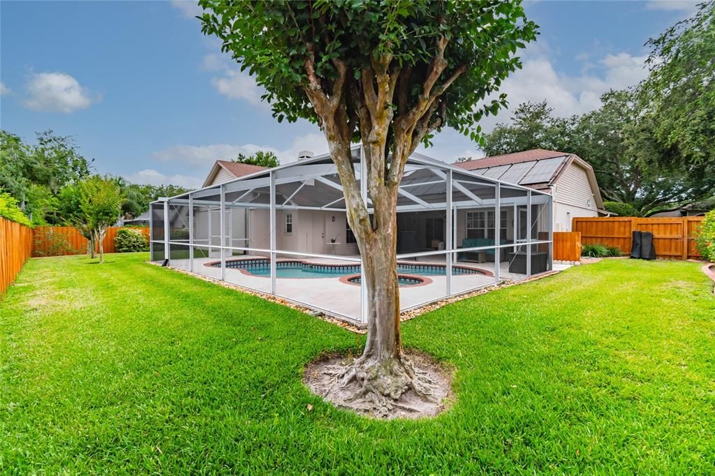 This yard allows you to add whatever you may need! So much extra space beyond the pool!