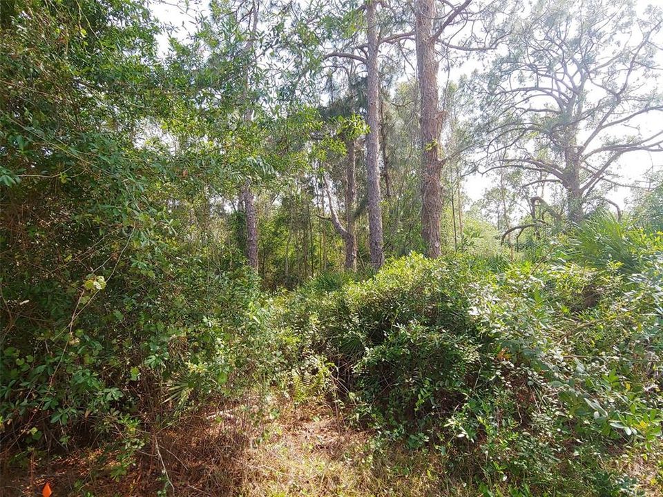 Recently Sold: $6,000 (0.19 acres)