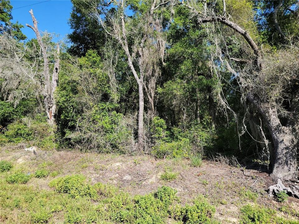 Recently Sold: $35,000 (1.22 acres)