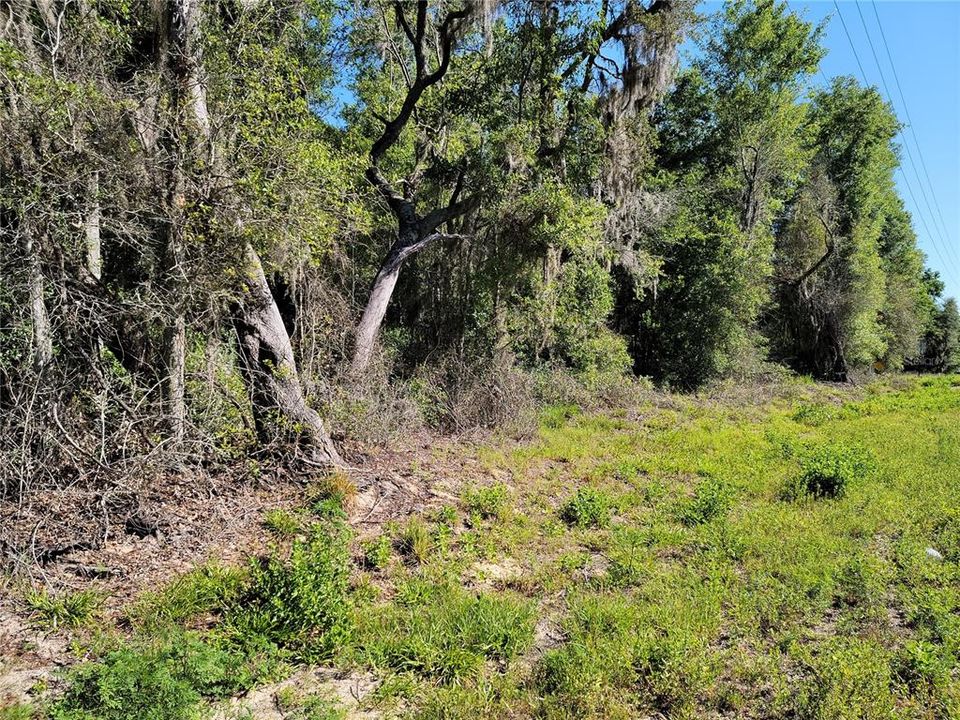 Recently Sold: $35,000 (1.22 acres)