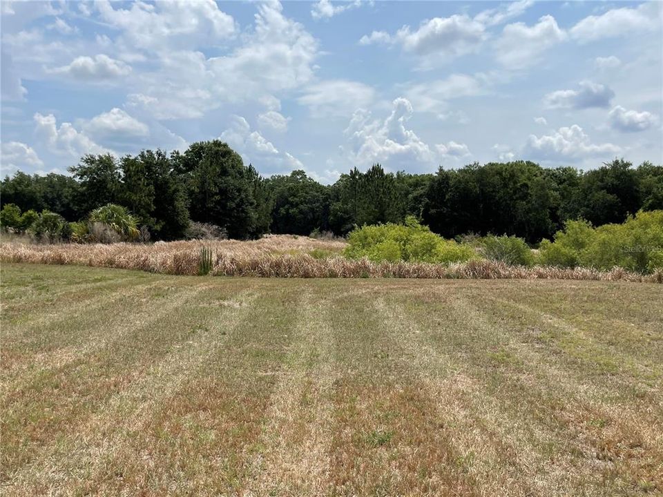 Recently Sold: $50,000 (0.20 acres)
