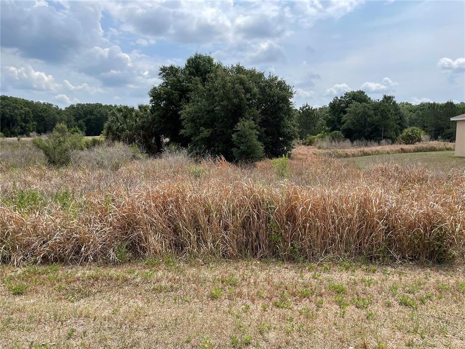 Recently Sold: $75,000 (0.25 acres)