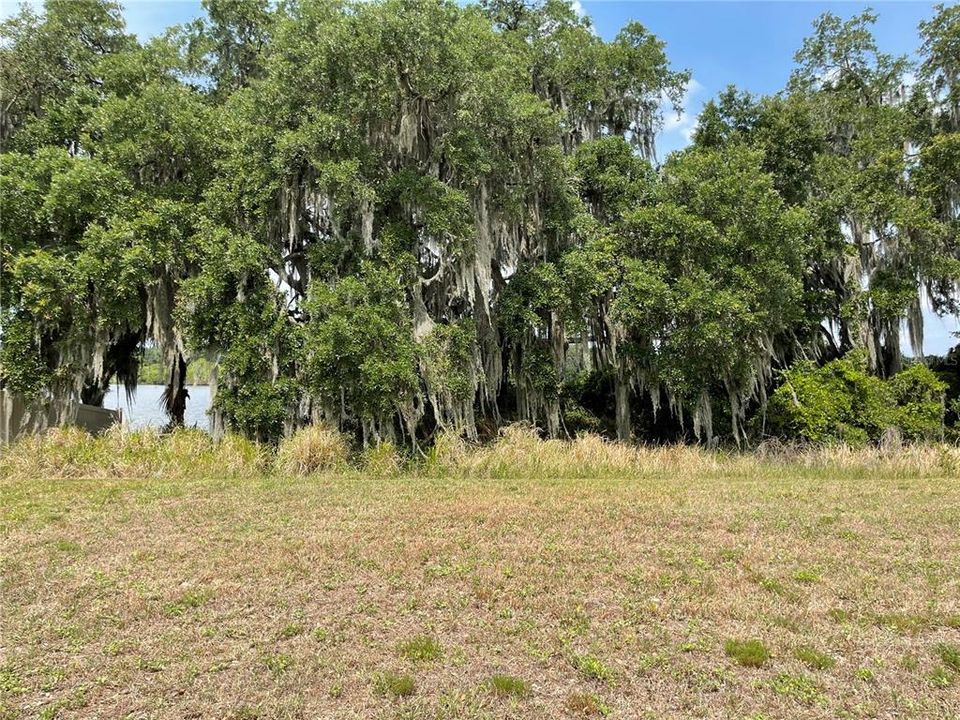 Recently Sold: $75,000 (0.26 acres)