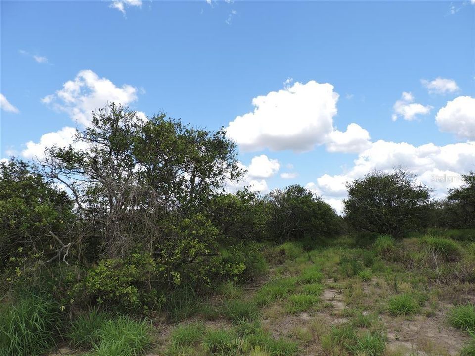 Recently Sold: $475,000 (15.64 acres)