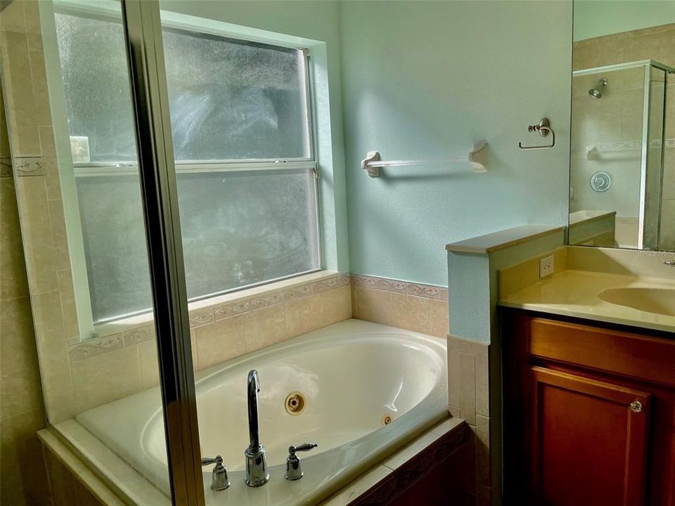 Master Bath jacuzzi tub