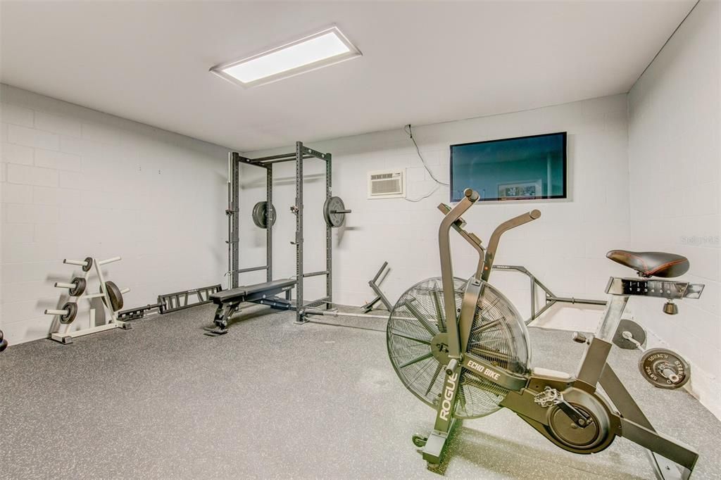 Private home gym accessed through office