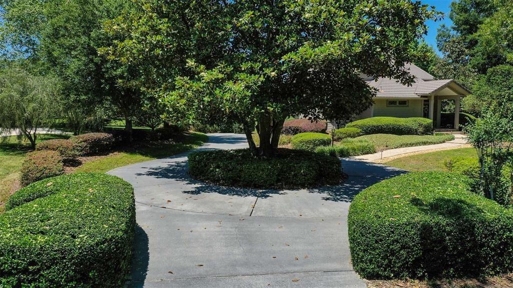 Circular driveway with mature trees and landscaping