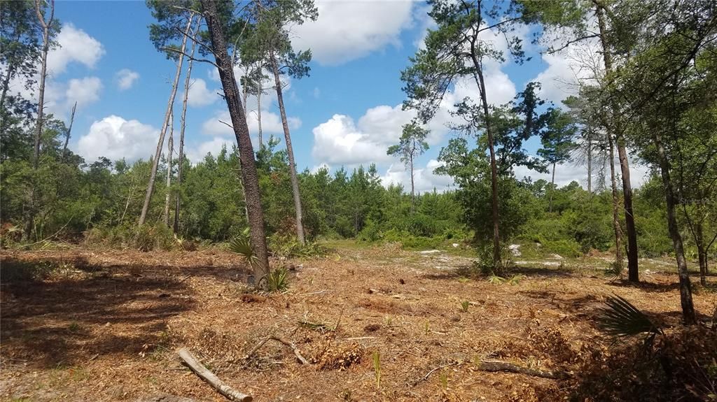 Недавно продано: $149,000 (9.60 acres)