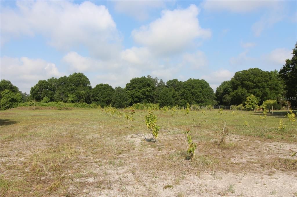 Recently Sold: $100,000 (5.00 acres)