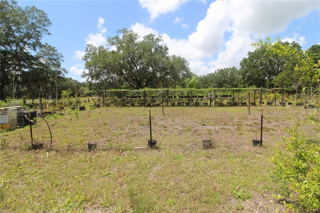 Recently Sold: $100,000 (5.00 acres)