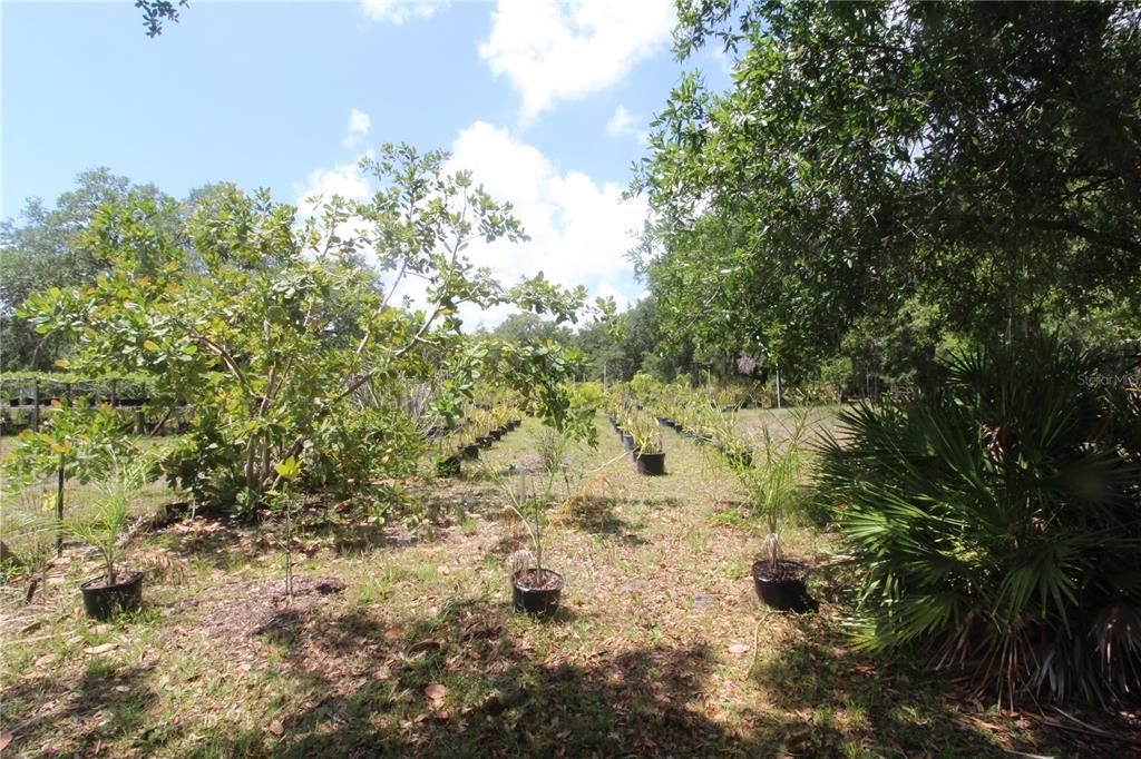 Recently Sold: $100,000 (5.00 acres)