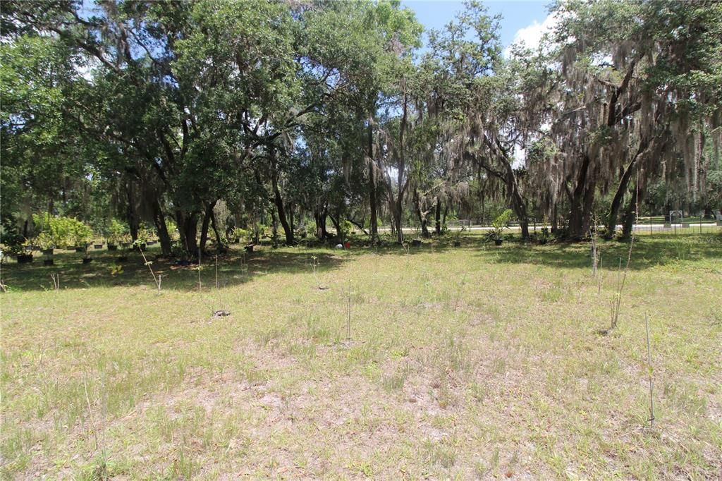 Vendido Recientemente: $100,000 (5.00 acres)